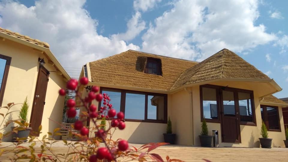 Ask Cozy Rooms Thessaloniki Buitenkant foto